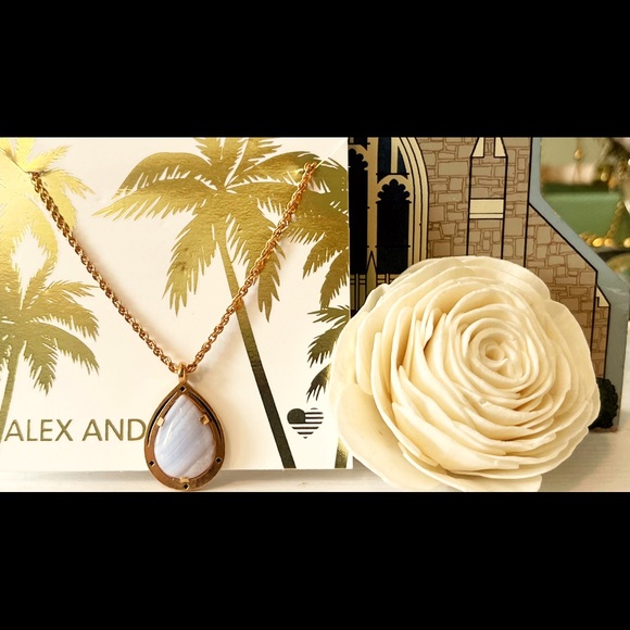 Alex and Ani Jewelry - Alex and Ani Gold Necklace with Stone